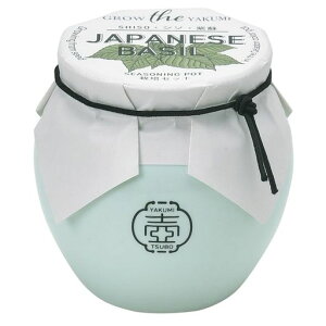 V|ʔNƒ؉ȒP͔|Lbg؍͔|Zbg(R/H)̌a6cmTSUBOGD-99801