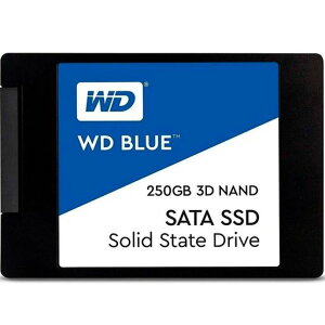 WDSSD2.5C`/250GB/WDBlue3D/SATA3.0/5Nۏ/WDS250G2B0A