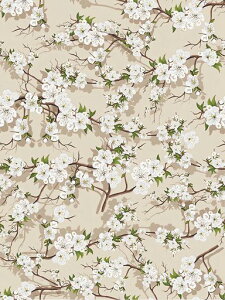 JuangfiaǎV[ǎV[gǎhCNV[gEH[XebJ[ԕꗜԓȂJbeBOV[gtH[V[gDIY