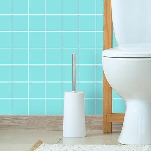 yremeclez^CV[UCN^CEH[V[gy3D25cmx25cmzC]u[10ZbgzLb`V[ǎ^CϔMhhtH[Lb`ʏgC݃N