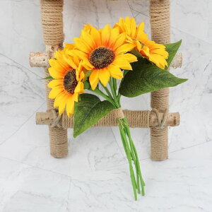 LakymisyЂ܂葢ԉԑlHϗtAu[P͂ȂԃVNINSʐ^Bejv[gCeA莩iXɓKp(55{)