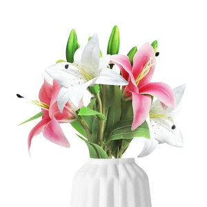 DIFEIUKIԕS4{Zbg̉ԑA^b`͂ȂԌe[uZ^[s[XՂQ蕧ԕCeABeVNt[S36cm