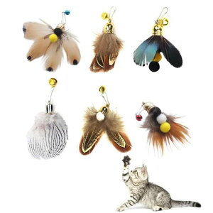 L6_ZbgL炵HLHĤ፩XԒpLVїpi