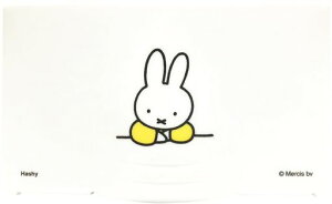 nV[gbvC}XNP[X~btB[2~3[CG[MF-8249