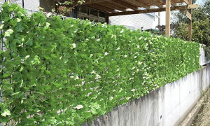 rOAEg(LivingOut)ډBO[tFXCgO[1x3m