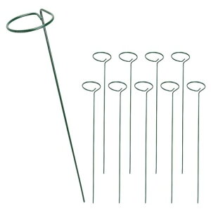 Ԏx|x10{Zbgt[X^hc̗UI[vXbgdlhKό`ɂ|_