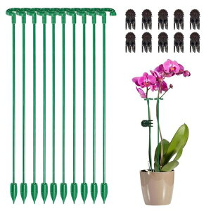 |N~Ax10Zbg|piXeX|i`O[