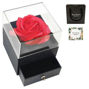 BlissPost\[vt[{bNXԃo͂ȂԃMtgrose։ԃG^[i[Y{bNXav[gV{t[KNlCޏȗFB΂񃌃fB[X蕨c