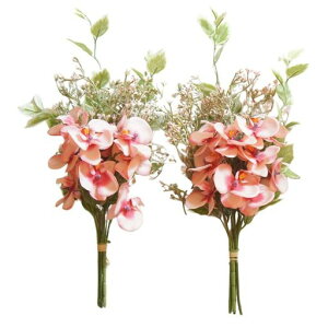 ԃ[Yp̉ԑsNMTCYԈ242cmMEMORIESPREMIUMԕdp͂Ȃ~ފ݋Aȋ{͂ȂԃI[LbhsNM