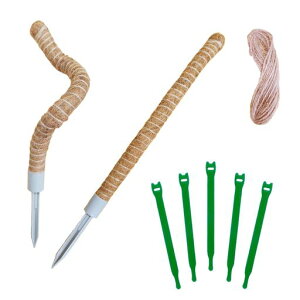 reiri|x݋Ȃ\Ax60cm2{Ђ5moh5{t