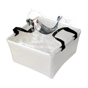 AceCamp܂肽ݎoPc݃obJ܂肽݃oPcނpoPc֗yʏvRpNg|AEghA|ނ萅̗e킨肽݃oPc