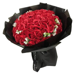 SCAMPER\[vt[ԑobh50{u[Pav[glCԑԃMtghCt[CeALO\hV̓̓ސEcޏʉ