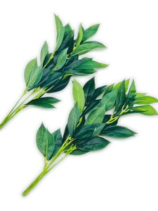 {呢Ԑ_I_TJLG}H(ہEL){iAMTCY33cm(2{Zbg)