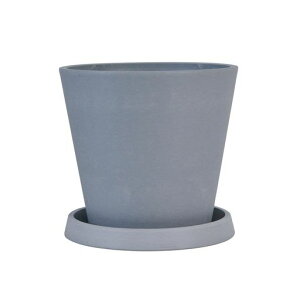 GreenshipAؔ8(25cm)󂯎MtvX`bNΕރ}bg