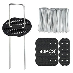 LesimollUsYەtX`[UsY15cms40{ZbglHŖhV[gŒpusƒ؉|pi|