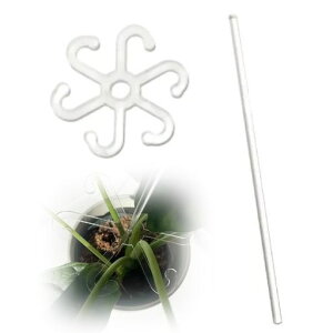 AsT|[gAT|[gXe[N|xAxANAxApXez_[AT|[gAsg[i[ԂANAT|[gtbNAsgc