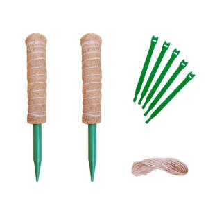 reiri|xAx32cm2{Ђ5moh5{t