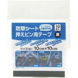 DiohV[gspe[v10cmX10cm10252485|x