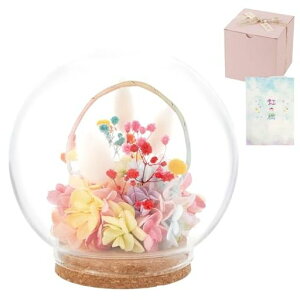 Ԃ܂肩ybgԂڂʓ̋̂tvU[uht[ԌLdp݉ԑ蕨