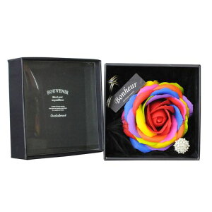 aLOɑ邢̂{bNXõ\[vt[(C{[)