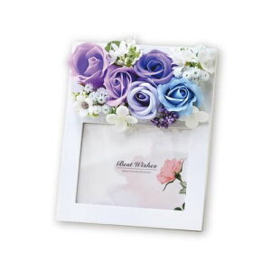 |s[É\[vt[V{t[ԃMtgv[gʐ^ăo5֖20cmNAP[XtS-179p[v