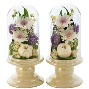 A[gtH[V[YԔn~j֋eglassy΃fUC2SETzzCgvU[uht[