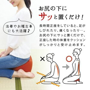 ̎t񂪐鐳NbVQ܂琳yɂȂNbV20x20x20cmʓ]SAIKOROTCR{QpCv(lCr[)