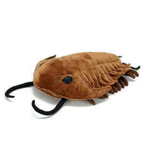 Trilobite�ʂ�����݃V�~�����[�V�����f�B�[�v�ʂ�����݃\�t�g�{����������j�̎q���̎q�z�[���f�R���[�V�������A���ŉ��K�Ȓ��̌`�̖�40CM