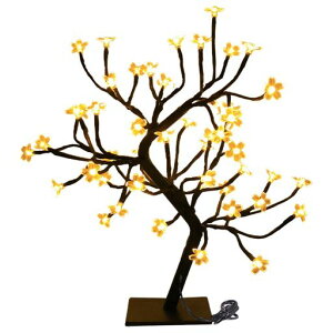 [X[cP[XJpj[]e[uvԐڏƖe[uCgLEDCgAaX^hxbhTChvドCgCeAu^gF48