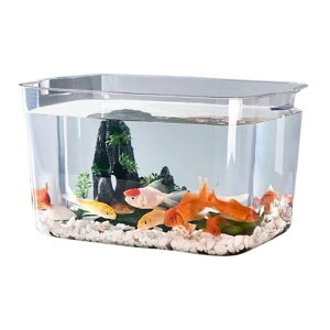 PreQuoroȂ|ȒP_JANAEeECeAvX`bN