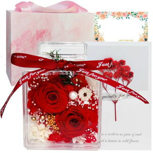 vU[uht[v[gauU[ht[ސEj͂ȂԃAWg2ւKN{gt[MtghV̓LO̓zCgf[J[h&c