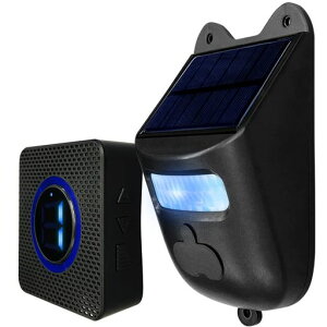 CXĂяo`CZbǧmŃ`CZT[A[{^svtȒPdgM300m\[[[dZT[ʂȃfBʒ߉A[c