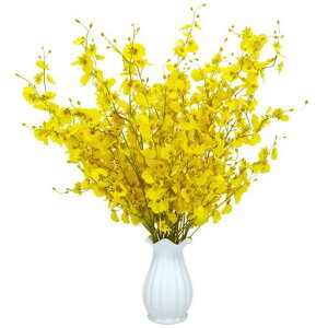 siawadekyԗx闖8IVW[A[gt[ԑԕȓԃtFCNt[ԐlHϗtAu[P͂ȂԂbsvʐ^BejJXjaӁc