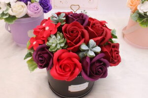 SCAMPER\[vt[AWgo̓̓җjaLOhV̓搶̓v[go^Cf[jiސEjVzjwƏj蕨c