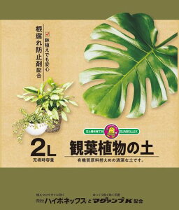 TxbNX(SUNBELLEX)SUNBELLEX}O@vkϗtA̓y2L