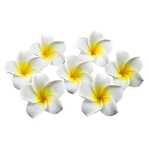 STOBOK100��6Cm�v�������A���ԃz���C�g�t�H�[���f�ރn���C�A���t�����W�p�j�t�����[�������p�[�e�B�[��ꑕ��Diy�n���h���C�h�p