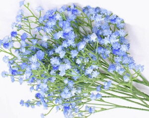 ySRrabbitz^ȂݑԃJX~݂{ȃA[eBVt[ԑ(u[6{Zbg)