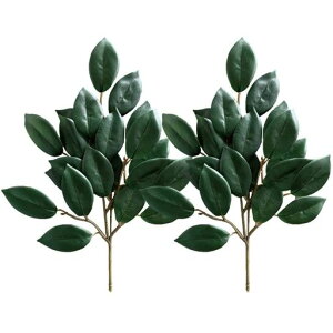 呢Ԍ͂ȂTJL_Ip_g36cmԐX͂Ȃ(2{_NO.40)