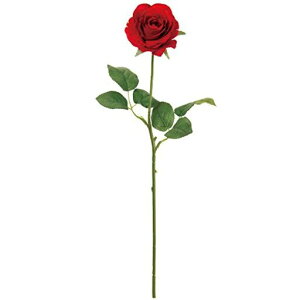 (Tokyodo)MAGIQteBA[YbhԌa7xL44cmFM002787-003