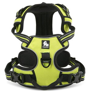 J&CParadiseԌn[lX{KXp֐lCȒPʋC߉\3Mˈh~s⏕TRUELOVE(XSlIECG[)