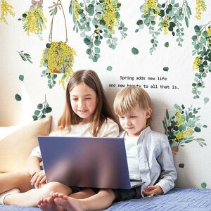 XNEFAVbvEH[XebJ[~UA4x8mws0737~UtԖؐAV[CeAOKǎ肨ꂩ킢