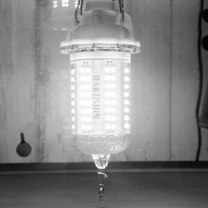 FUNKSW[dBAKUSHINR[hX[CzCg͐LEDWCgCXWPx30wCg[Cpro