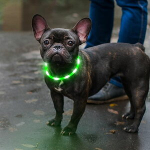 EzierfyTPU[dUCgÈłŌ֌-^A^A^p̓_ŌCgUp()