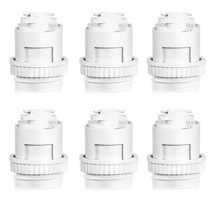 Aiwodeライティングレールソケットダクトレール専用電球ソケット白E26口金LED専用レール照明器具天井照明ロック機構により脱落を防止適用植物育成ライトLED電球エジソン電球6個入り