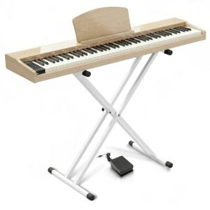 �y��p�X�^���h�t���zLongeye�����A�C�d�q�s�A�m88���Չ��ǂ�������MOLD2�ؐ��{�f�B���{��\�LMIDI�[�q�Ή��y�_���t��380��މ��F�ڒ��A���g���m�[���@�\�t��DREAM�������S�ҁA���K�Ƀs�b�^�c