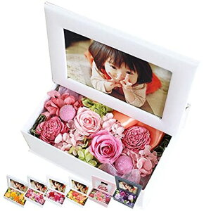 flannerica.vU[uht[tHgt[KARENʐ^đ蕨Mtg̓LOjsA-2tsNg