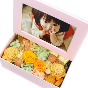 MtgnEB܎Ovw̓v[gvU[uht[tlJtHgt[KARENʐ^đ蕨Mtg(yP-3zCG[IW(sNg))