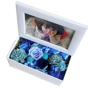 MtgnEB܎Ovw̓v[gvU[uht[tlJtHgt[KARENʐ^đ蕨MtgyA-5zu[(g))