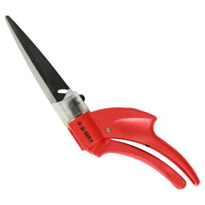 g(Senkichi)ЎŐySGS-4