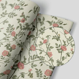 HomyaǎV[ԕǎhCNV[g44cm*10mk